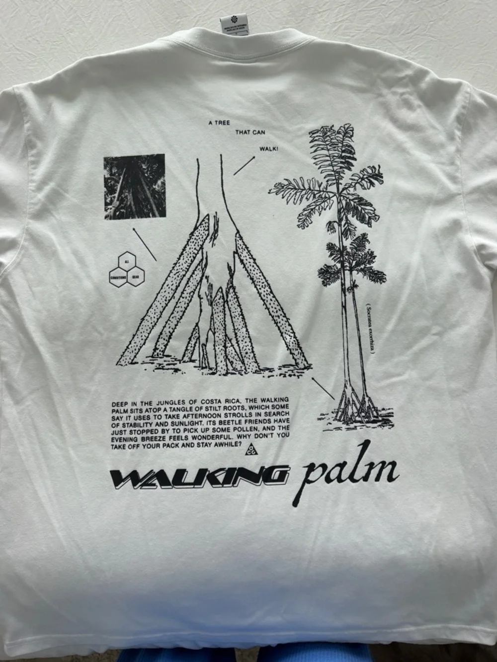 Nike ACG White Short-Sleeve Tee with Black Graphics - Picture 6 of 8